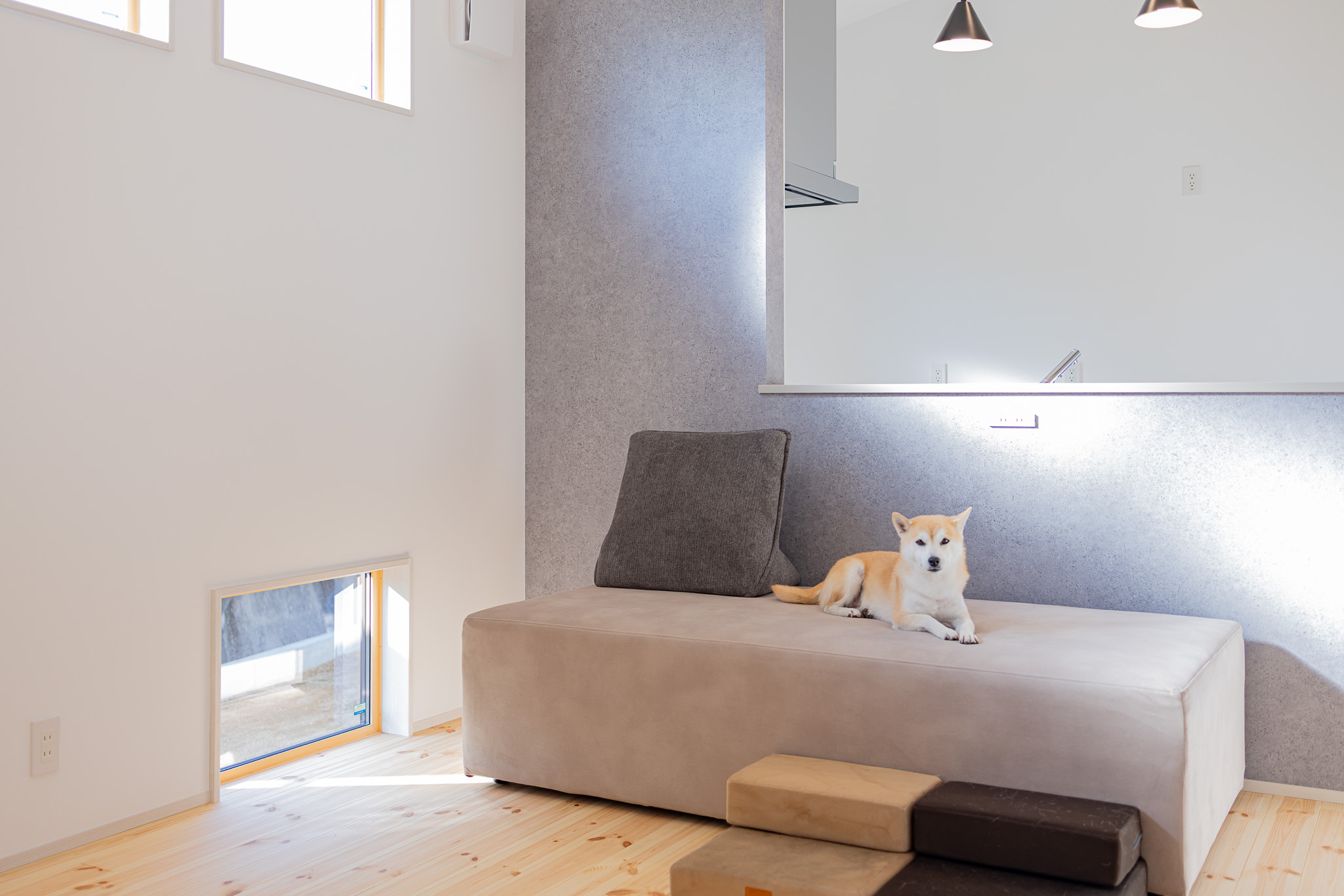 機能美と環境性能を両立した、次世代のGX住宅